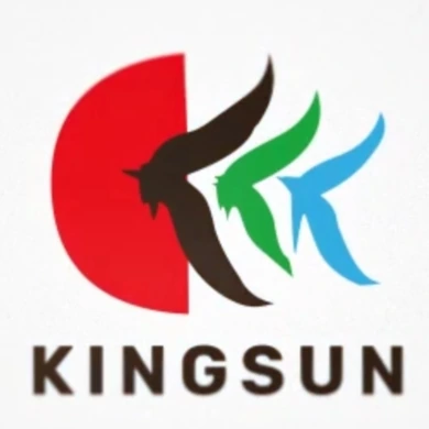KINGSUN