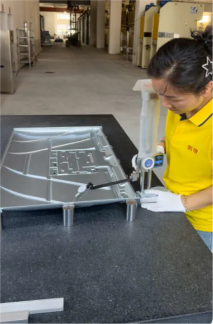 Panel inspection